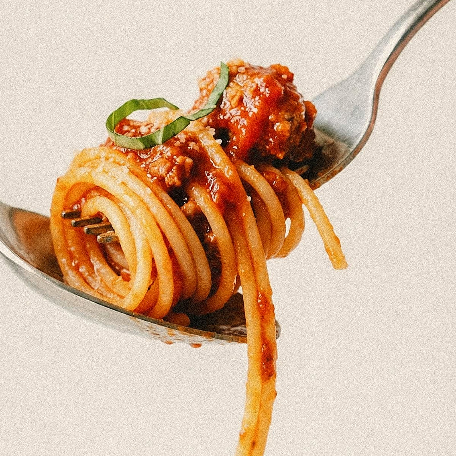 Spaghetti with ragù twirled on a fork